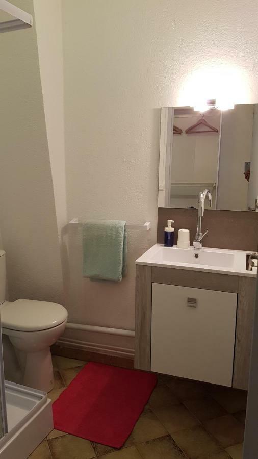 Appartements Coeur De Village Saint-Jean-du-Bruel Εξωτερικό φωτογραφία